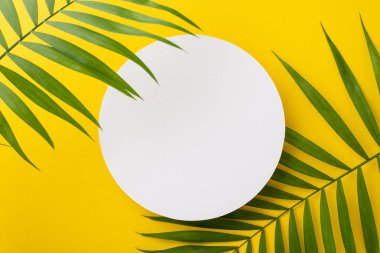 Bu göz alıcı düz yaz fotoğrafıyla mesajınızı alın. Güneşli sarı arka planda yemyeşil palmiye yaprakları ve damgalamak ya da mesaj atmak için mükemmel boş bir çember.