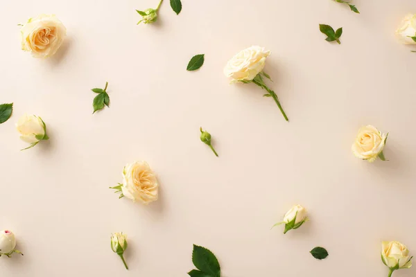 Top view flat lay photo of beautiful white roses on pastel beige backdrop