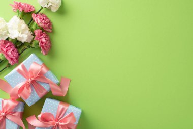 Anneler Günü hediye konsepti. Kurdeleli güzel pembe hediye kutularının üst görüntüsü, yumuşak pastel yeşil arka planda karanfil çiçekleri, metin veya reklam için boşluk.