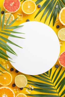 Citrus karışık kavramı. Turuncu, limonlu, limonlu, limonlu ve greyfurtlu karışık turunçgillerin en üst dikey görüntüsü.