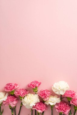 Anneler Günü reklamınızı bu baş döndürücü dikey manzarayla yükseltin. Yumuşak pembe bir yüzey üzerinde güzel karanfillerin çiçek açtığı düz bir fotoğraf.