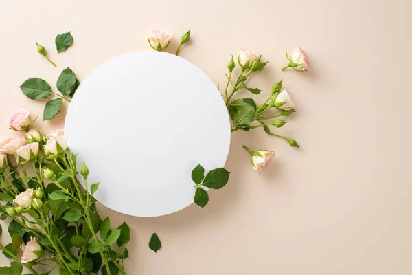 stock image The epitome of elegance: a photograph from above showcasing lovely miniature roses on a serene beige backdrop, complete with an empty circle perfect for advertising