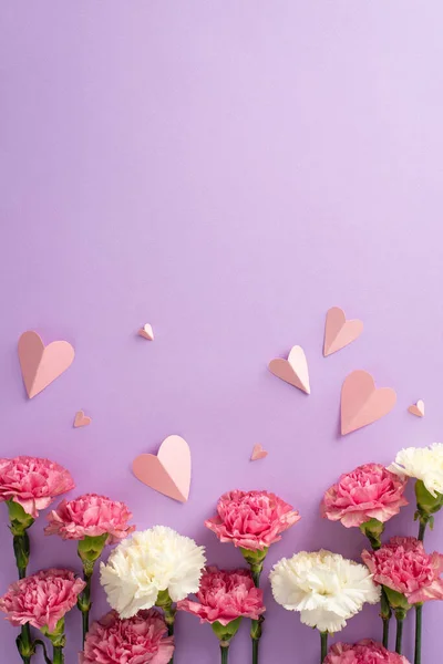 Mother\'s Day gift ideas concept. Top vertical view flat lay of pink carnation flowers, and pink paper hearts on a soft pastel violet background with empty space for text or advert