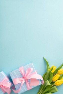 Anneler Günü modası konsepti. Moda hediye kutularının ve pastel mavi zemin üzerinde sarı lalelerin üst görünümü metin veya karşılama mesajı için boş alan