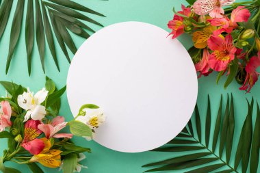 Yaz meyvesi konseptini tazeliyorum. Portakal dilimleri, greyfurt, kireç ve limonla kaplı canlı alstromerya 'nın üst görünüm düzlüğü. Pastel yeşil arka planda yemyeşil palmiye yaprakları ve metin için yer var.