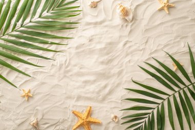 Hayalindeki yaz kaçışını planla! Aksesuarların üst görünümü: deniz kabukları, denizyıldızı ve doğal palmiye yaprakları. Kum kıyısı arkaplanı mesaj veya reklam için boş bir alan
