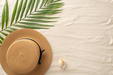 Yaz güneşlenmesinin en iyi bakış açısı. Sahilde güneş şapkası, deniz kabuğu ve palmiye yaprakları gibi kumlu arka planda durmalı. Boş alan kişiselleştirilmiş iletileri veya reklamları karşılar