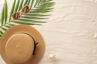 Yukarıdan bakıldığında, yaz aylaklarının özüdür. Güneş gözlüklerinin, güneş şapkasının, deniz kabuğunun ve kumlu sahilde palmiye yapraklarının üst görüntüsü. Boş bir alan, özel metin veya tanıtım amaçlarına yer sağlar