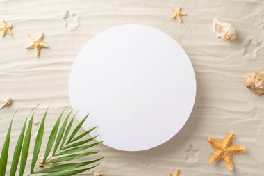 Güneşten sırılsıklam olmuş boş zamanlara tepeden bak. Deniz kabukları, deniz yıldızı, palmiye yaprakları kumlu sahilde tropikal bir tablo oluşturur. Boş çember özel metin veya reklamlar için işaret eder