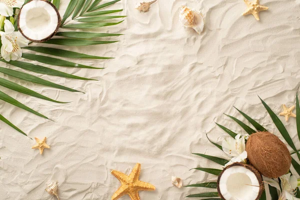 stock image Dive into the summer season! Top view of seashells, starfish, palm leaves, alstroemeria flowers and a fresh coconut on a sandy background. Empty space for text or promotional content