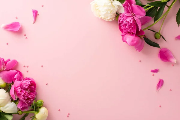 Beautiful Flowers Concept View Photo Empty Space Bright Pink White — Stock Photo, Image
