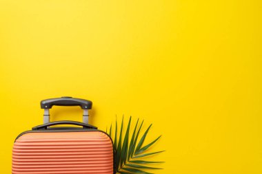 Harika bir tatil konsepti. Üst görüntüde, altında palmiye yaprağı olan turuncu bavulun fotokopi alanı ile izole edilmiş parlak sarı arka planı var.