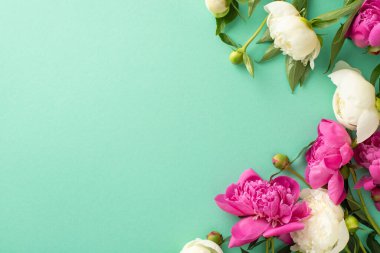 Şakayık dalları konsepti. Yüksek açılı fotoğraf pembe ve beyaz şakayıklar, tomurcuklar ve yapraklar izole edilmiş açık deniz mavisi arkaplanında kopyalanmış