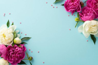 Taze şakayık konsepti. Yüksek açılı fotoğraf pembe ve beyaz şakayıklar, tomurcuklar ve taç yaprakları ve konfeti kalpleri izole edilmiş açık mavi arka planda