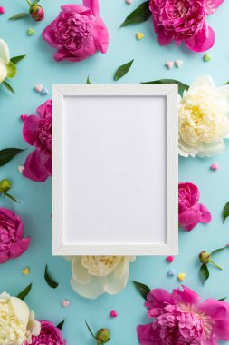 Bahar şakayığı konsepti. Yukarıda boş ahşap çerçeveli dikey fotoğraf eflatun ve beyaz şakayıklar, tomurcuklar ve konfeti kalpli taç yaprakları izole açık mavi arka planda kopyalanmış