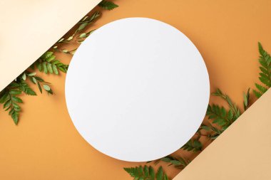 Bitkisel soyut arka plan kavramı. Parantez ve okaliptüs dalları ile çevrili boş çemberin üst görünüm fotoğrafı bölünmüş bej ve kahverengi izole edilmiş arkaplan