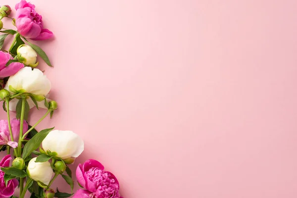 Tender Bouquet Concept Top View Photo Empty Space Bright Pink — Stock Photo, Image