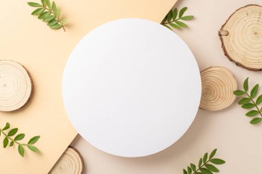 Bitkisel kozmetik kavramı. Okaliptüs dalları ve iki renkli izole edilmiş bej arkaplandaki ahşap podyumlarla çevrili boş çemberin yukarıda fotoğrafı