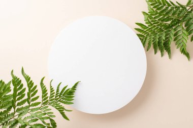 Güzel eğrelti otu dalları konsepti. İzole edilmiş pastel zemin üzerinde eğreltiotu dalları ile çevrili beyaz boş çemberin üst görünüm fotoğrafı