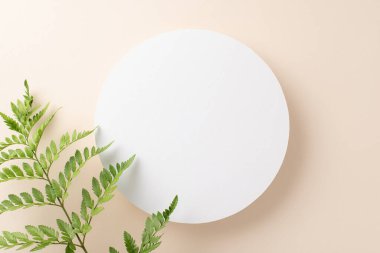 Güzel eğrelti otu dalları konsepti. İzole edilmiş beyaz zemin üzerinde eğreltiotu dalları ile çevrili beyaz daire fotokopi alanı ile beyaz görünüm fotoğrafı