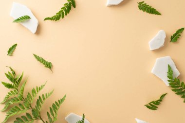 Basit doğa tasarımı konsepti. Yüksek açılı eğrelti otu dalı ve yeşillik fotoğrafı izole edilmiş bej arka planda beyaz taşlar ile fotokopi alanı ile çevrili