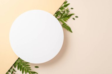 Doğa hassasiyeti kavramı. Okaliptüs dalları ile çevrili boş çemberin üst görünüm fotoğrafı ve kopyalanmış boşluklu ayrı pastel arkaplan