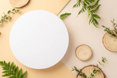 Doğa hassasiyeti kavramı. Okaliptüs dalları ile çevrili boş çemberin en üstteki fotoğrafı ve iki tonlu izole edilmiş pastel arka planda duruyor.