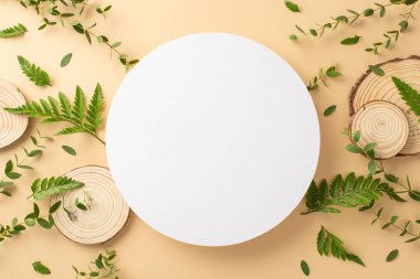 Vahşi doğa güzellik konsepti. Okaliptüs, eğreltiotu yaprağı, dalları ve ahşap kaplı boş yuvarlak çerçevenin en üstteki fotoğrafı izole edilmiş bej arkaplanda fotokopi alanı ile duruyor.