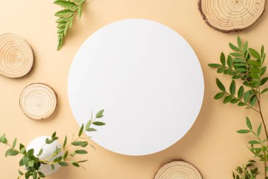 Vahşi doğa güzellik konsepti. Okaliptüs, eğrelti otu dalları ve ahşap kaplamalı boş yuvarlak çerçevenin en üstteki fotoğrafı izole edilmiş bej arkaplanda fotokopi alanı ile duruyor.