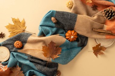 Sonbaharın özünde bu üst manzara düzenlemesi ile lezzet: rahat ekose, küçük balkabakları, sarı akçaağaç yaprakları, çam kozalakları, tarçın çubukları, meşe palamudu ve anason, pastel bej arka planda düzenlenmiş