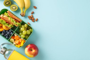 Beslenme çantasının altını çizen tepeden tırnağa bir kompozisyonla yakıtsal eğitim molaları ve mavi izole edilmiş arka planda vegan sandviçler ve diğer yiyecekler, metin veya reklam içeriğinin eklenmesini davet ediyor