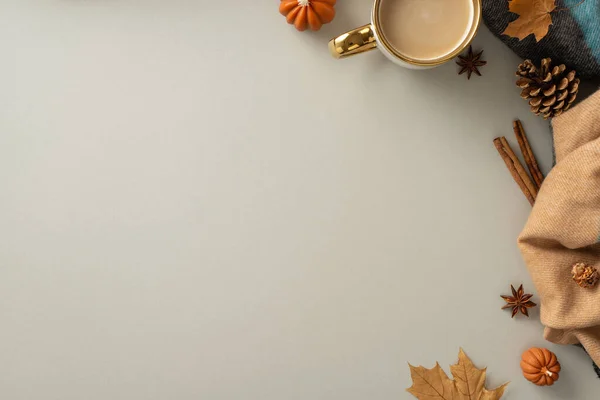 stock image Above view pic presenting warming up at home with a cozy patchy plaid and cacao with odorous cinnamon and chinese anise and autumnal attributes on isolated light grey background with copy-space