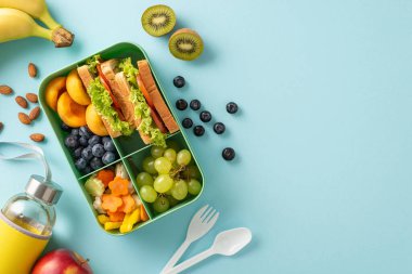 Zihninizi canlandırın: Sandviçler, meyve ve sebzeler, pastel mavisi izole arkaplanda su şişesi, metin veya tanıtım içeriği için kullanılabilir olan üst görünüm görüntüsü