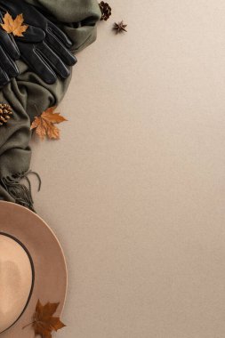 Sonbahardan esinlenilmiş moda konsepti. Yanmış keçeli şapka, eldivenler, şık gri eşarp, akçaağaç yaprakları, anason, açık bej yüzeyde düzenlenmiş koniler, metin ya da reklam ortaklığına olanak sağlıyor.