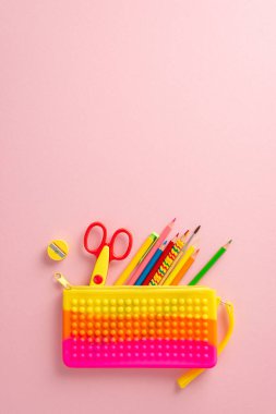 Okulun temel gereksinimleri. Çeşitli malzemelerin dikey yukarıdan aşağı görünümü, moda kalem kutusu, renkli kalemler, makas, keskinleştirici, metin veya reklam için açık alana sahip pastel pembe bir zemin üzerinde fırça