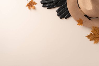 Kadın moda konsepti. Moda görünümlü keçeli şapka, zarif deri eldivenler ve beyaz bir zemin üzerinde altın akçaağaç yaprakları yazı veya reklam için oda
