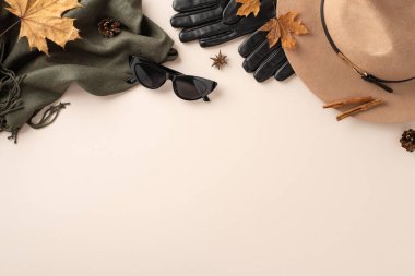 Sonbahar temalı kıyafet konsepti. Kenarlı keçeli şapka, deri eldivenler, modaya uygun gözlükler, sofistike eşarp, yapraklar, anason, tarçın, beyaz zemin üzerindeki çam kozalakları, metin veya reklam için boş alan