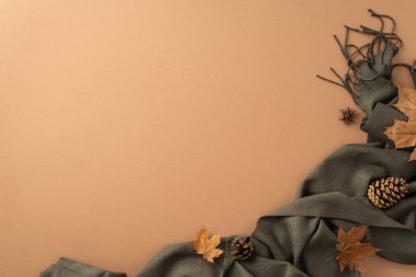 Sonbahar temalı moda konsepti. Gelişmiş gri eşarp, altın akçaağaç yaprakları, yıldız anason ve çam kozalakları tarafsız bir bej arka plan üzerinde boş bir alan metin veya reklam için
