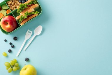 Tepeden tırnağa ustalıkla betimlenmiş besleyici bir ders arası konsepti. Beslenme çantasında enfes sandviçler, mavi izole edilmiş arka planda meyveler sergileniyor. Metin veya reklamlar için mükemmel.