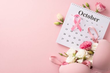 Erken teşhis kampanyası. Pembe arkaplanda pembe kurdele, sütyen ve östroma çiçekleri bulunan Ekim takviminin üst görünümü, bilgilendirici metin veya reklamlar için yer sağlar