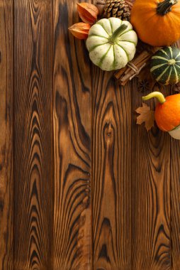 Sonbahar hasat konseptine tepeden tırnağa bir bakış açısı. Olgun balkabakları ve sonbahar özellikleri koyu ahşap bir zemin üzerine kurulmuş, metin veya sezonluk ruh içinde reklamlar için fotokopi alanı sunuyor