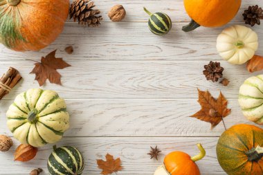 Sonbahar cömertliği yukarıdan. Olgun balkabakları, akçaağaç yaprakları, bitki kökü ve diğer sonbahar öznitelikleri beyaz bir ahşap tabana yerleştirilir, yazı veya hasat ruhunda reklamlar için davetkar bir tuval oluşturur.