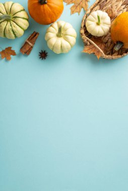 Hasat festivali fikri. Dikey üst görünüm bileşimi: balkabakları, pattipanlar, akçaağaç yaprakları, anason, tarçın çubukları, hepsi pastel mavi arka planda hasır sepette, boş metin veya reklam alanı
