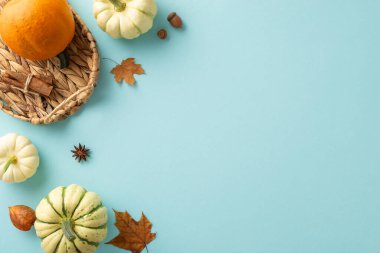 Hasat zamanı geleneği. Balkabağı, pattipanlar, akçaağaç yaprakları, anason, tarçın çubukları, physalis çiçeği, meşe palamudu ve sepeti soluk mavi arkaplanda, metin için yer var.