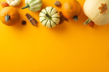 Mevsimlik toplanma teması: Kabak, kabak, pattipan, fındık, akçaağaç yaprağı, anason, tarçın içeren üst görünüm fotoğrafı. Portakal arkaplanına karşı physalis çiçekleri ile geliştirilmiş, metin veya reklam için mükemmel