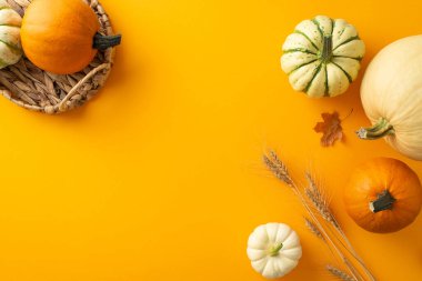 Mevsimlik şenlik sunumu: Kabak, kabak, patlıcan, buğday, akçaağaç yaprağı, turuncu bir arkaplanda hasat sepeti ile geliştirilmiş, yazı ve reklamlar için yer sunan üstten kurulum sunumu