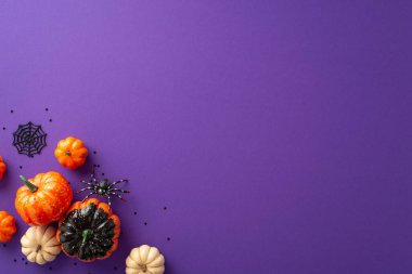 Ürkütücü sürüngenler ve Cadılar Bayramı cazibesi bu üst görünümde çarpışıyor: Örümcek ağı, balkabağı, örümcek ve daha fazlası, menekşe zemin üzerine kurulmuş kişisel selamlar veya reklamlar için mükemmel