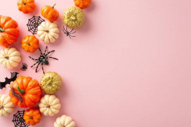 Modayı belirleyen Cadılar Bayramı kompozisyonu. Üst görüntüde küçük turuncu ve altın renkli balkabakları, tüyler ürpertici örümcekler, kırkayak, örümcek ağı, yumuşak pembe yüzeyde yarasa yarasası var. Mesajlar veya pazarlama için harika