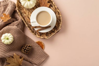 Sonbahar rahatlığı gözümde canlandı. Kazaklı üst manzara, hasır bahçe sepetinde taze kahve, tarçın, yeşillik, çam kozalağı, soluk bej yüzey üzerinde kurutulmuş turuncu, metin veya reklam alanı