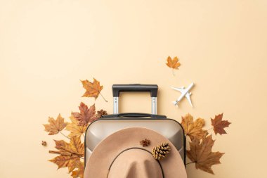 Planning an autumn getaway? Behold a top view image of a gray suitcase with autumn leaves around and a charming felt hat on a soothing beige background, perfect for your advertisement or text clipart